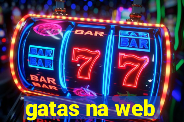 gatas na web